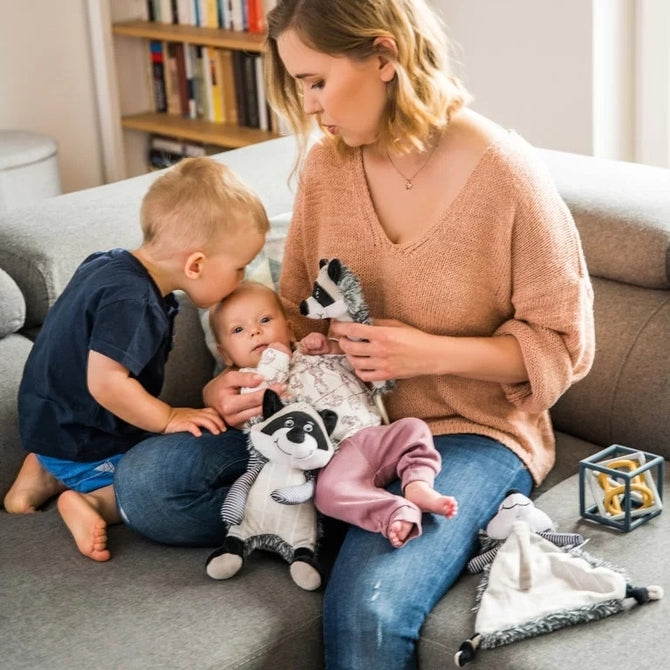 Babyono 745 Plüssjáték babáknak Mosómedve Rocky