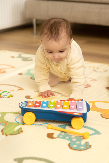 Toyz Oktatójáték - Szivárványos Cintányérok