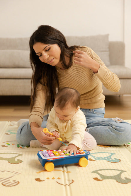 Toyz Oktatójáték - Szivárványos Cintányérok