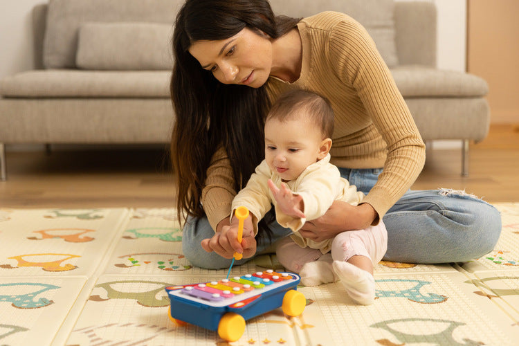 Toyz Oktatójáték - Szivárványos Cintányérok