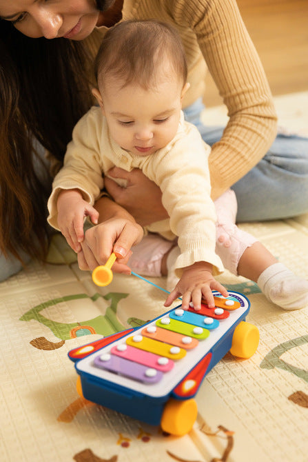 Toyz Oktatójáték - Szivárványos Cintányérok