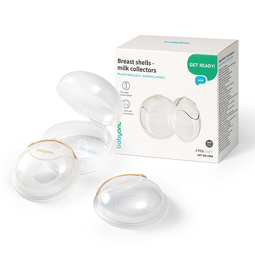 1468 Laktációs kagylók - Tejgyűjtők