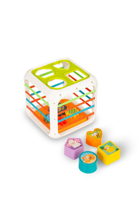 Toyz Oktatójáték - Válogató Kocka