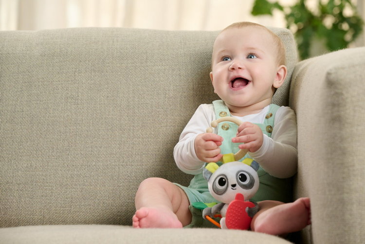 164851 Csörgő rágókával és pandával